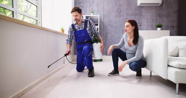 Best Residential Pest Control  in Fairview Heights, IL